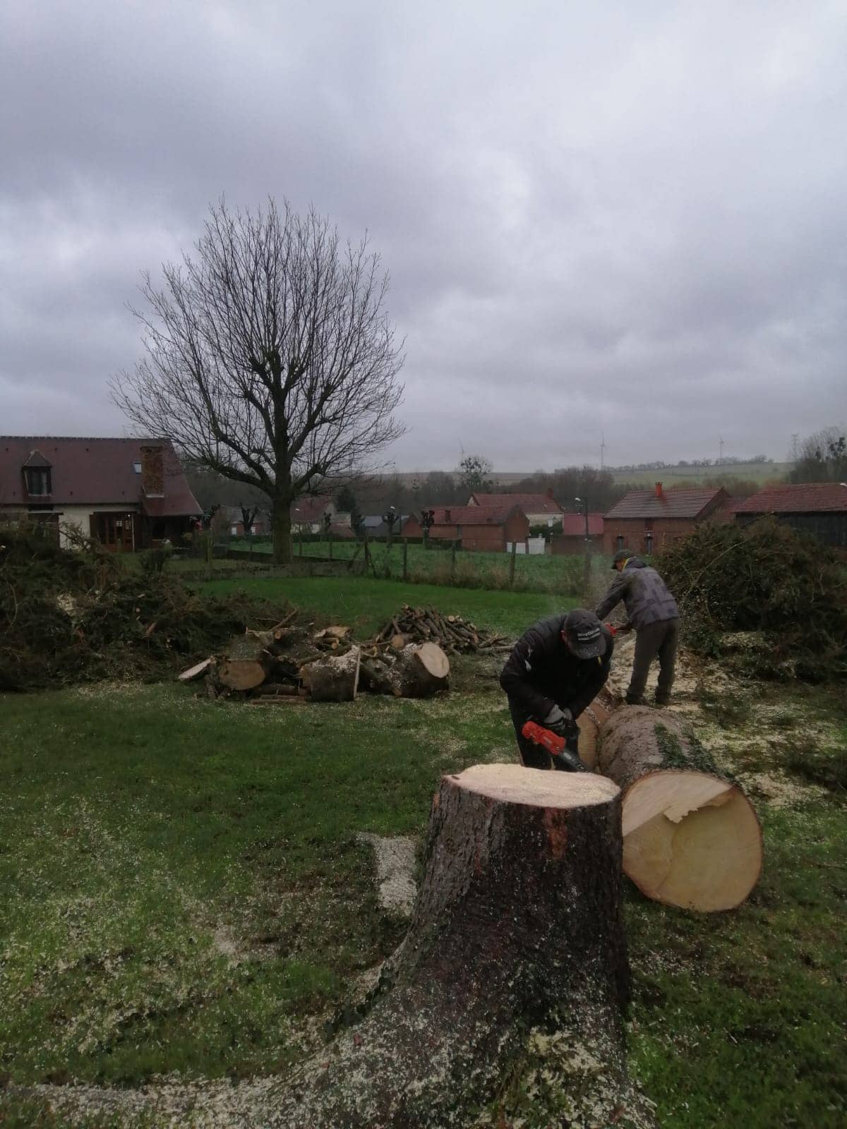 abbatage d'un arbre dans l'oise