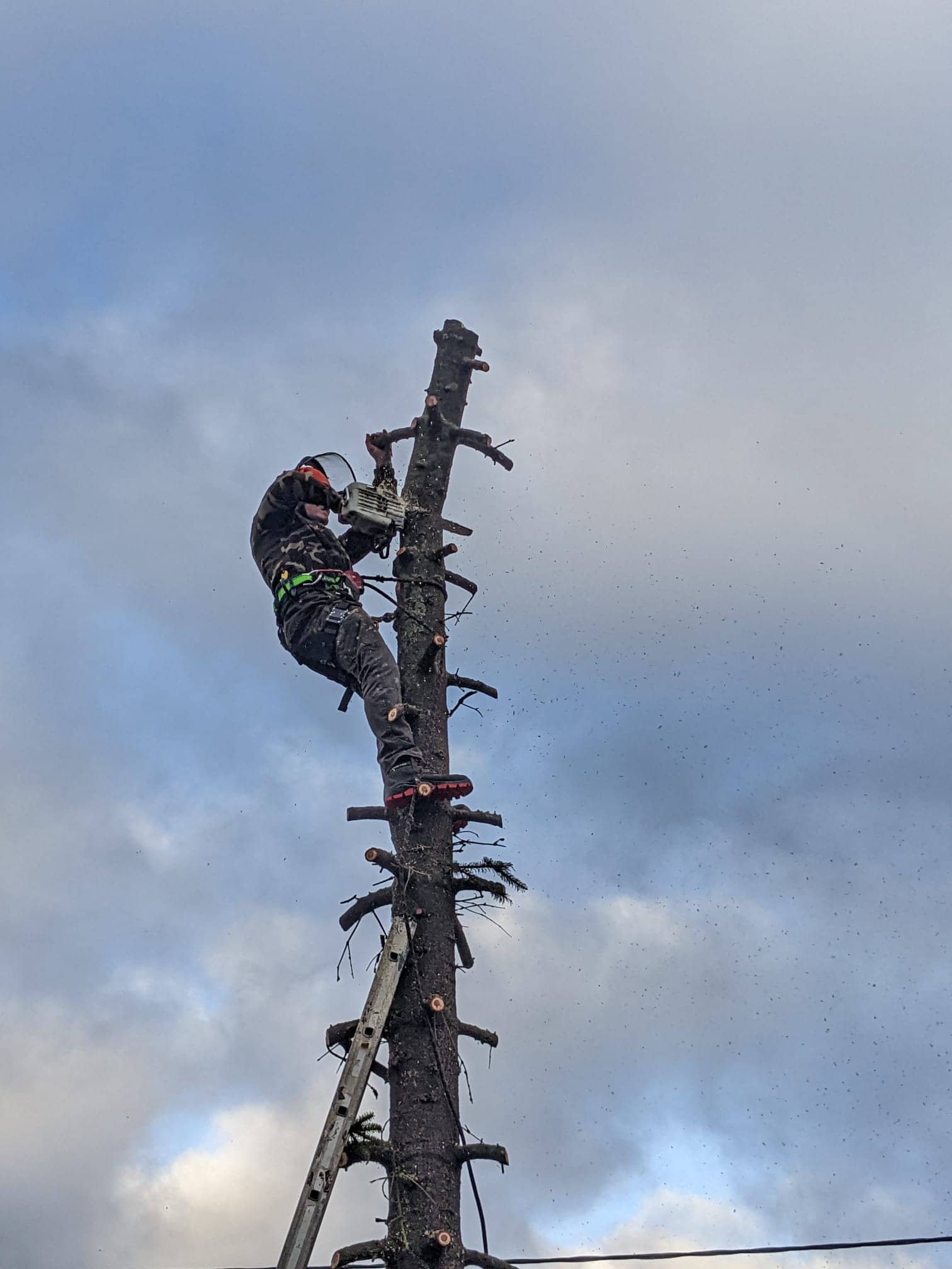 demontage d'un arbre en hauteur dans l'oise