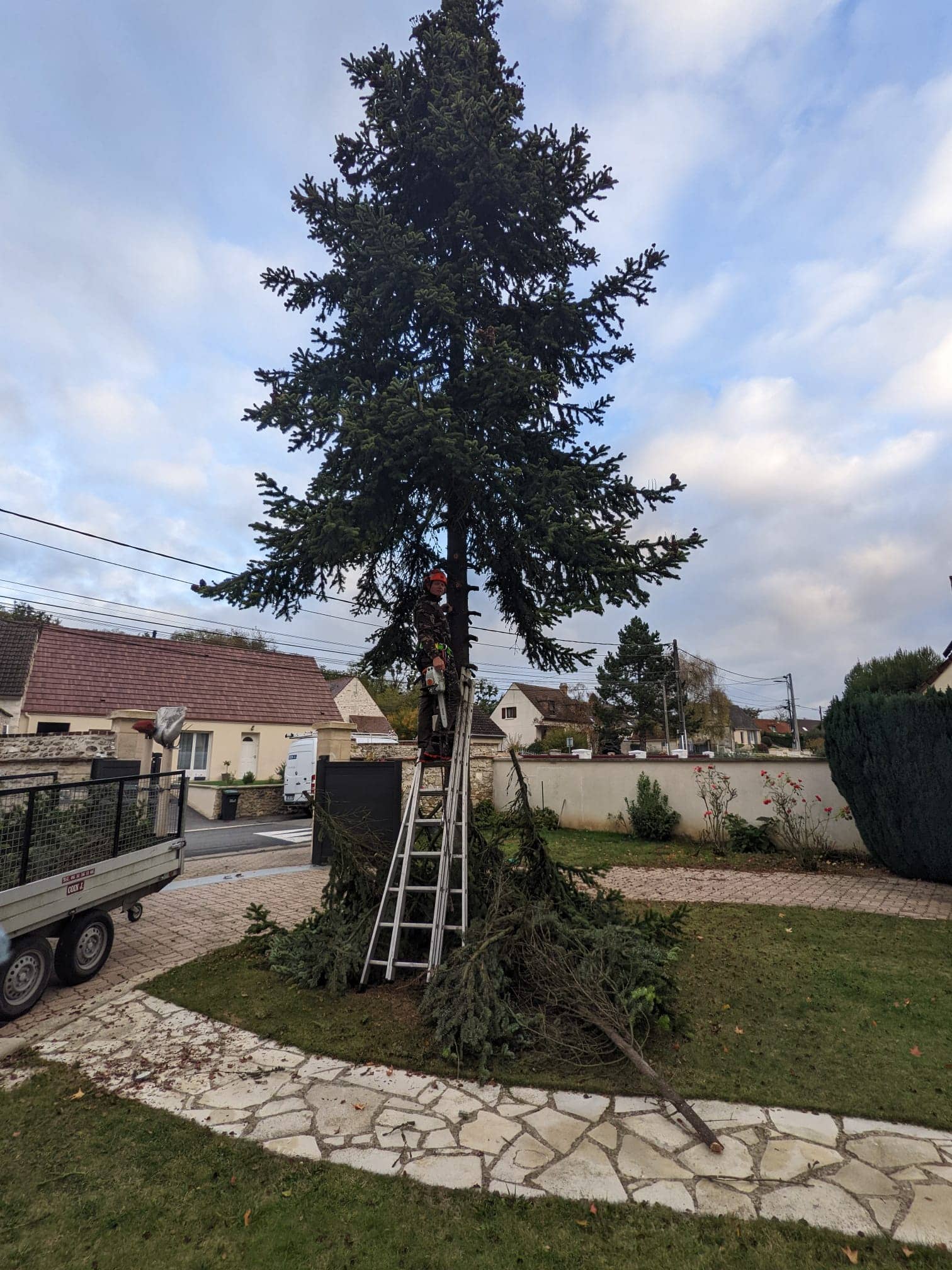 demontage et dessouchge d'un arbre dans l'oise