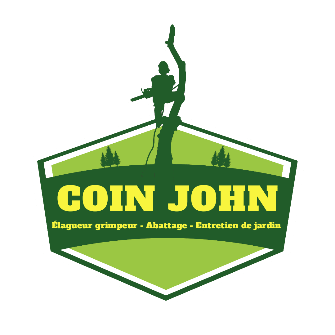 logo coin john elagage