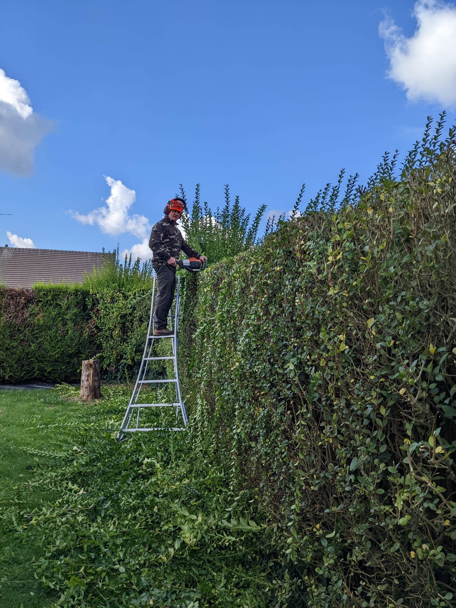 taille de haie et entretien d'espaces verts dans l'oise