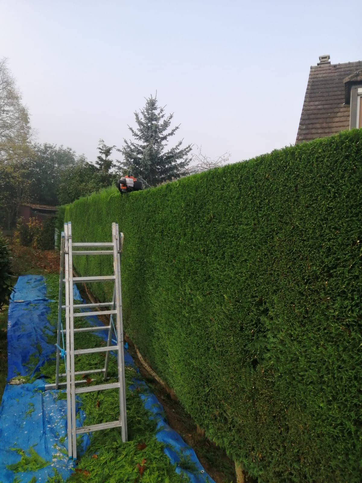 taille de haie et entretien d'espaces verts dans l'oise