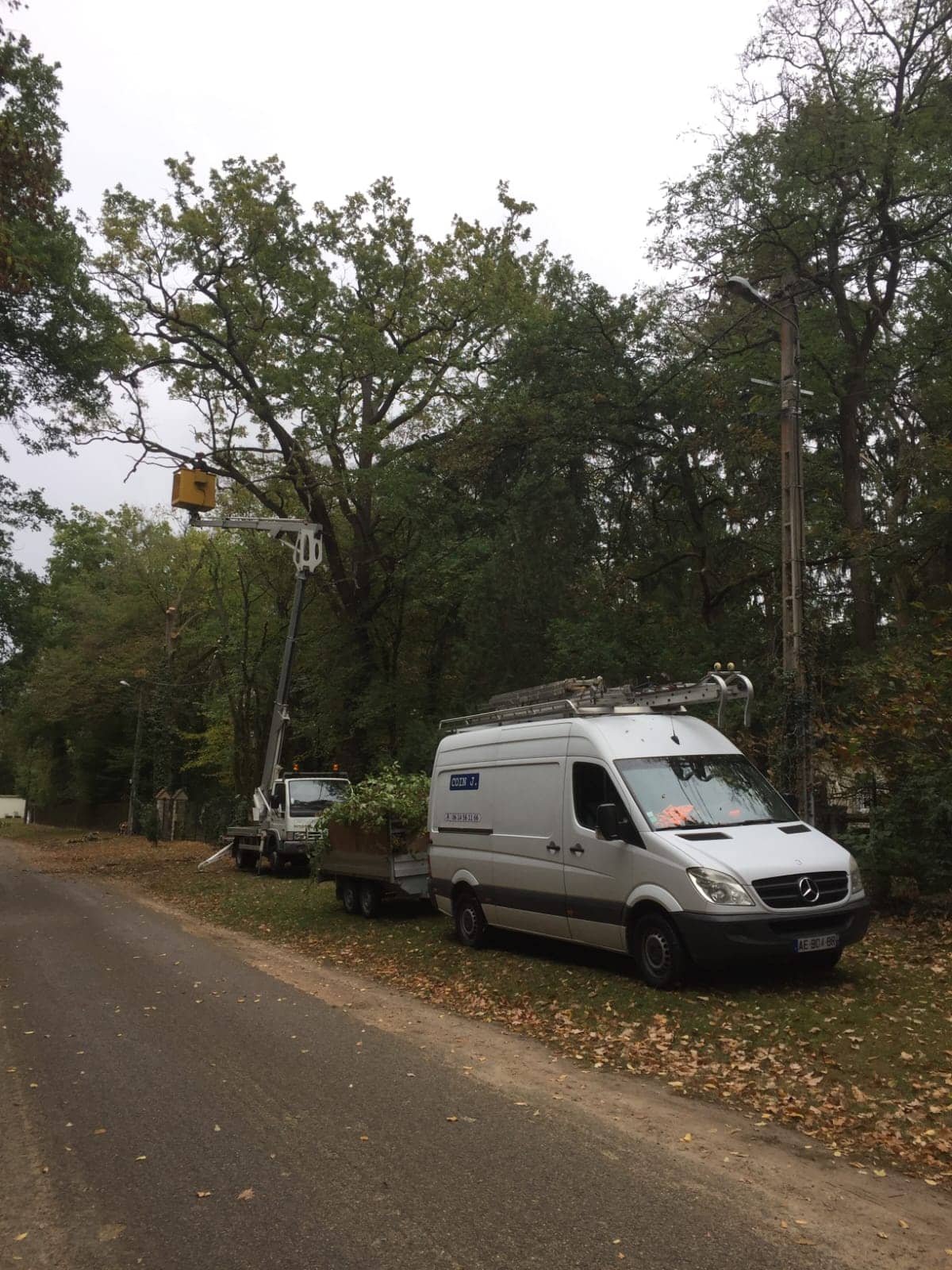 travaux d'elagage avec nacelle dans l'oise